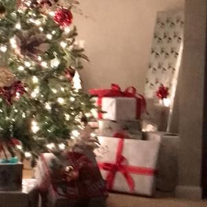 Meet your Posher, Amy-tom